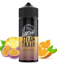 Steam Train Destination